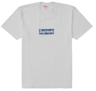 Supreme Bandana Box Logo Tee G