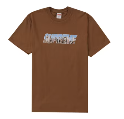 Supreme Gotham Tee Light Brown GG